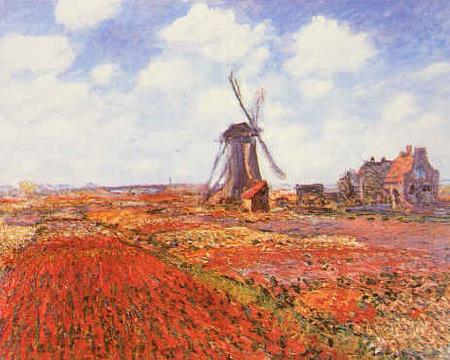 Claude Monet Tulip Fields with Windmill France oil painting art